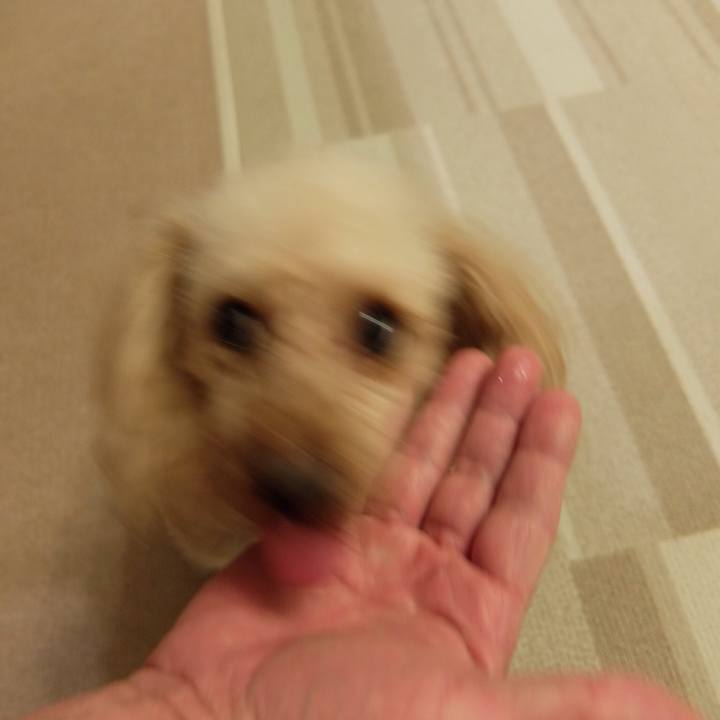 4407f403 a883 4714 b415 20fce7960555 1520508437389