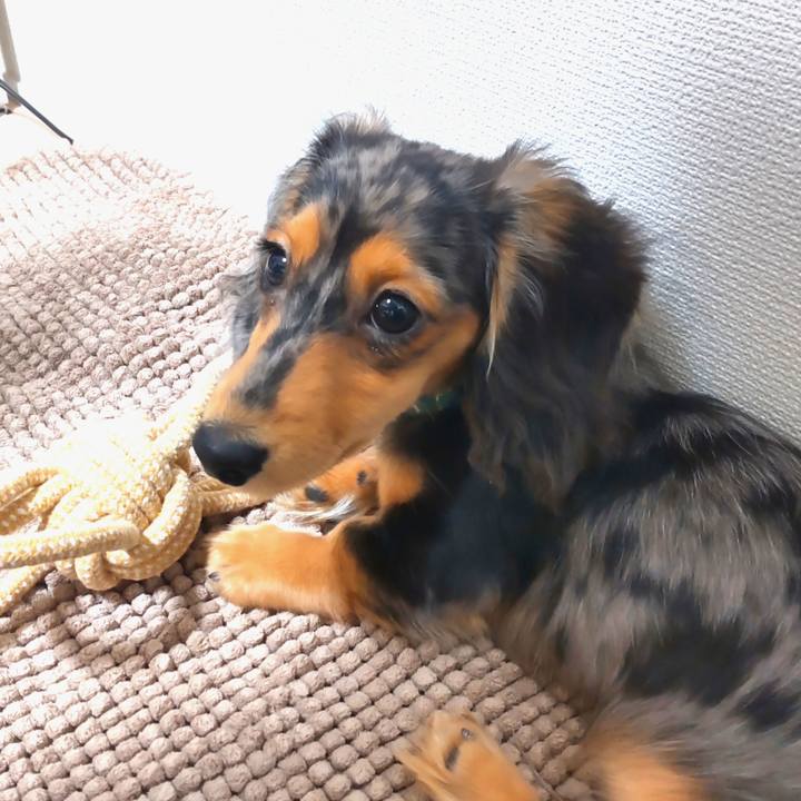 44082a6b a8d4 4097 96f1 855b9adb0a9f 1701300318203