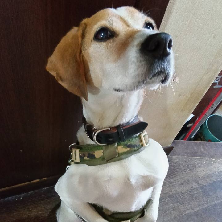 44084151 4248 485c af8a 2462a1192a4f 1737012970016