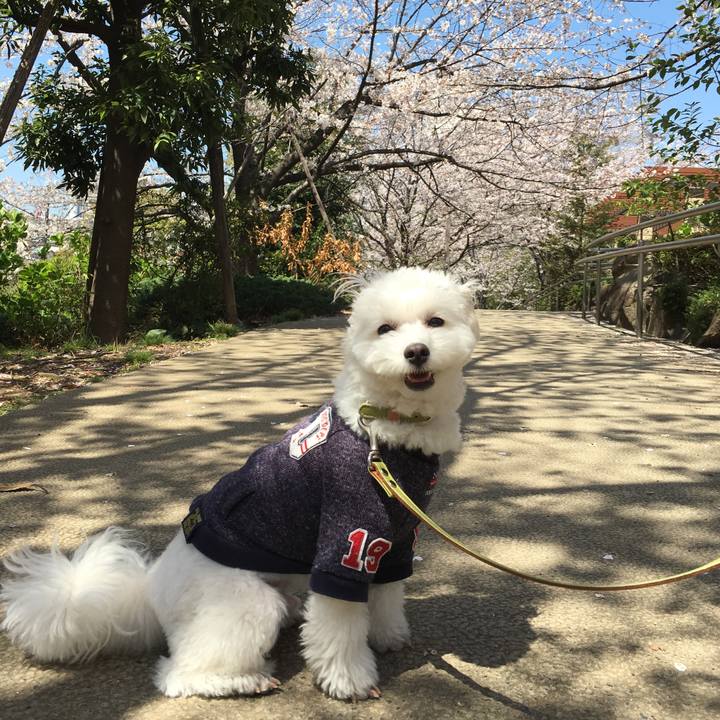 440843bf d106 4481 b889 e3f8c09f7514 1554371269523