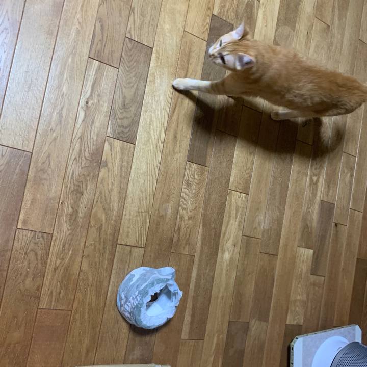 44084c50 16fe 4f4a 9879 abad30052558 1665611555732