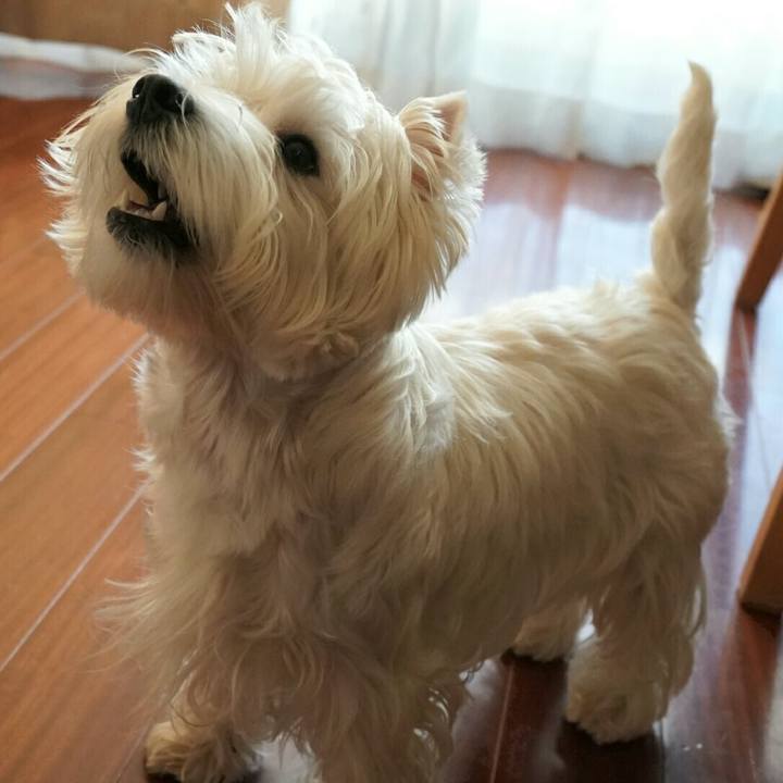 440862e3 7771 4ee6 a6c8 0790449b7876 1513640770675