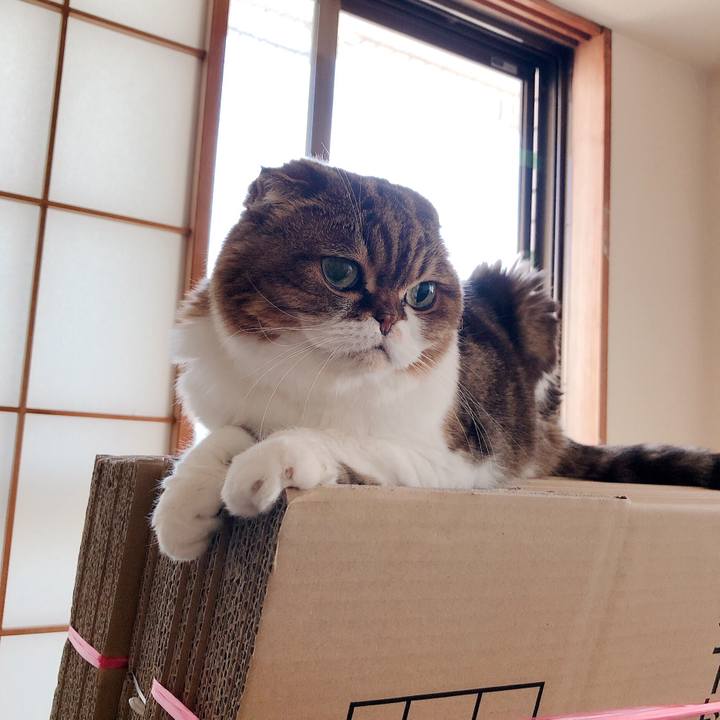 440871a1 32e3 41b4 8b05 1ff783f16b9f 1568513346103