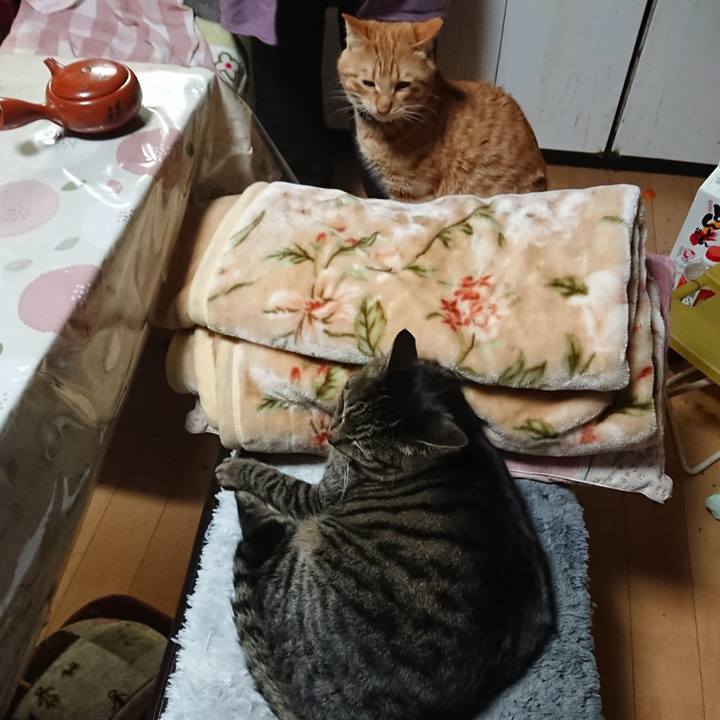 440874db a21a 4ce9 9eff 6eb38684aeb0 1642505931565