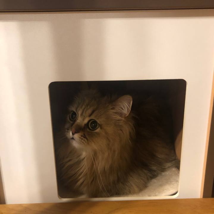 440880e7 a792 4f18 baac 95cf98207bf4 1626262069889