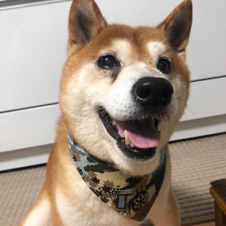 4408a3d6 9873 46f3 a8bc 90db88e8936c 1633035302295