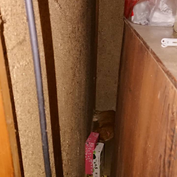 4408b4bd fe99 4660 a0de 6216be6b1c30 1598055586934