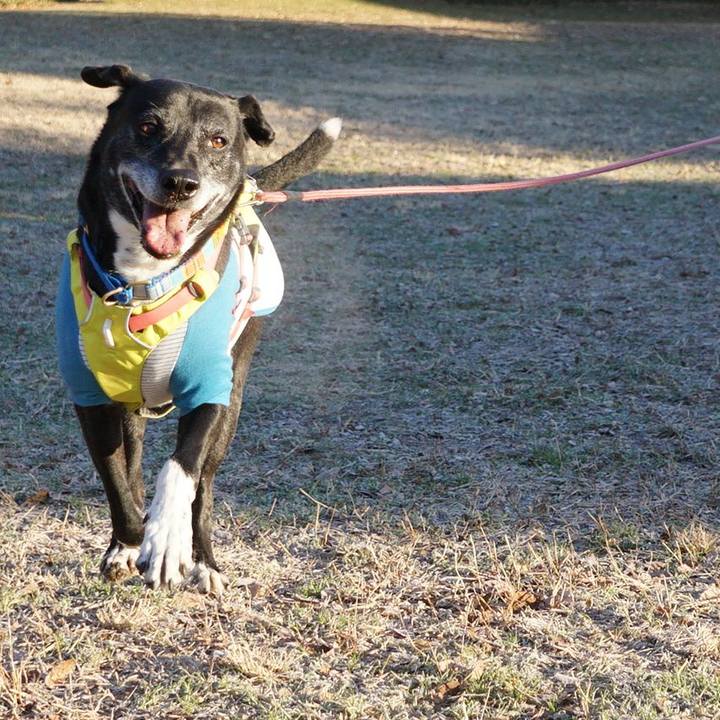 4408ca1c c1d8 495d 8280 9e753b9a4eca 1769214290558