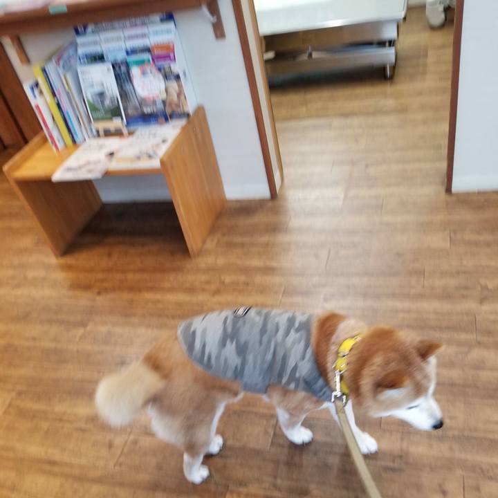 4408ca84 e336 4a11 a62d d8d75e25b983 1681717792271