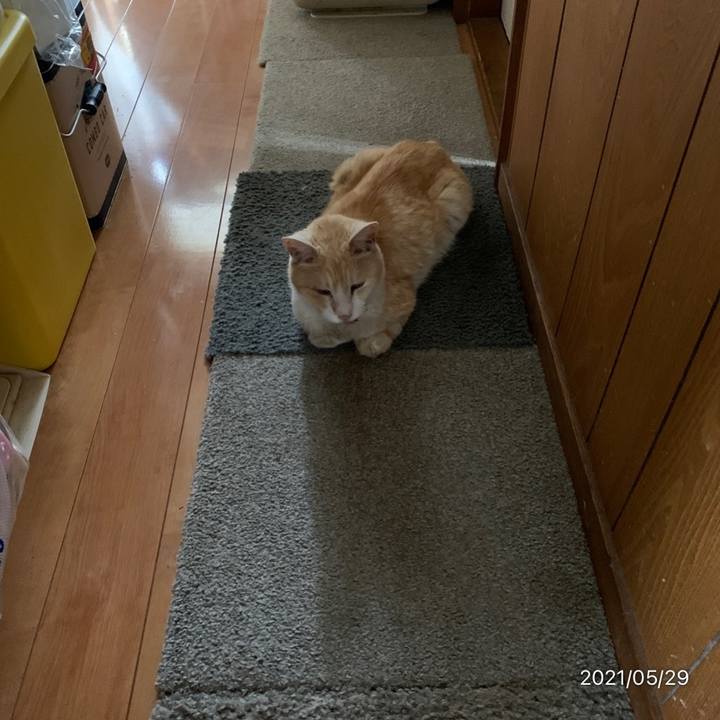 4408ce9c fd42 41da 8254 5d01fab6acd1 1622256449520