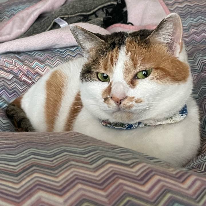 4408d817 c8d1 4b36 bac2 946d819f4f93 1706749594026