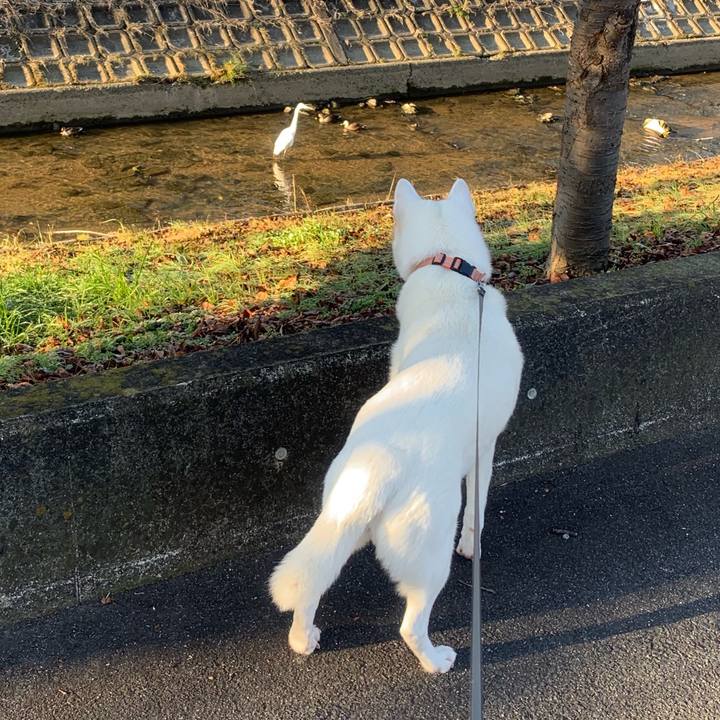 4409023f 39b9 4542 b61a 4a57181d6631 1546577677881