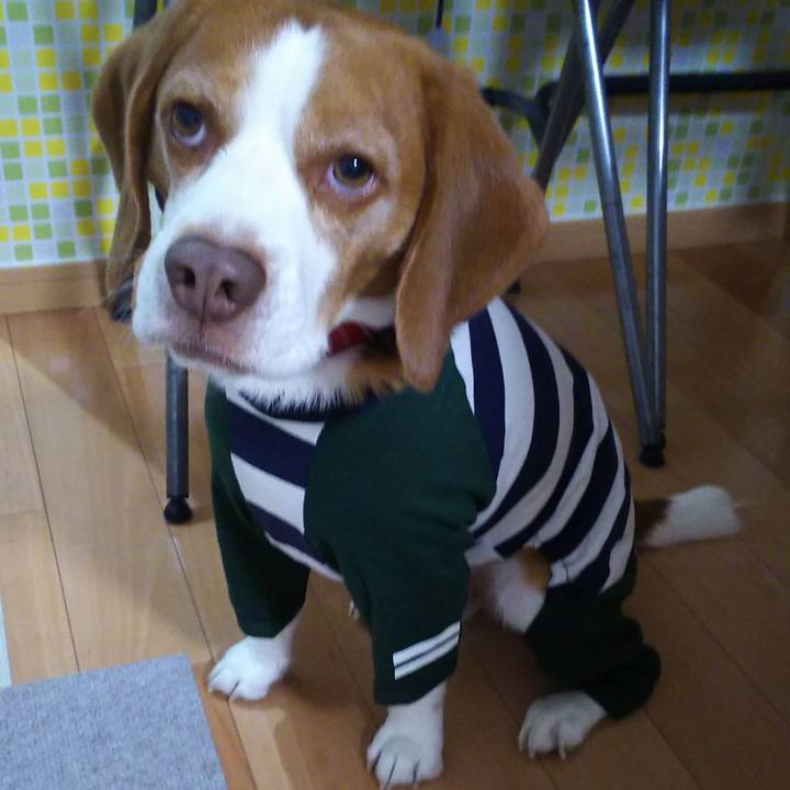 44090985 07d3 4d58 95e2 b1938e260f11 1607763458505