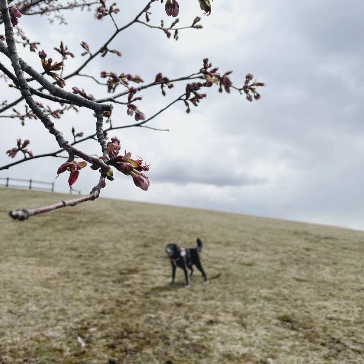 44091e56 bec4 4a1a a4d3 a449eb92ef27 1776908108985