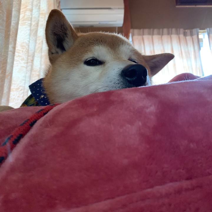 44092b72 b5cc 4b93 8f4d e0410703287b 1580120228526