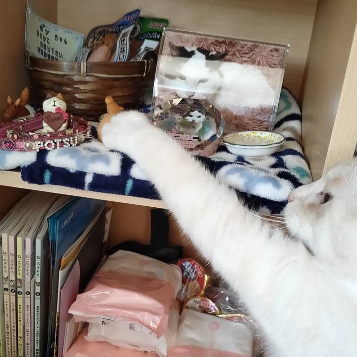 4409c502 a5d8 40bd 9b2e 0e9b91d08f40 1683677511838