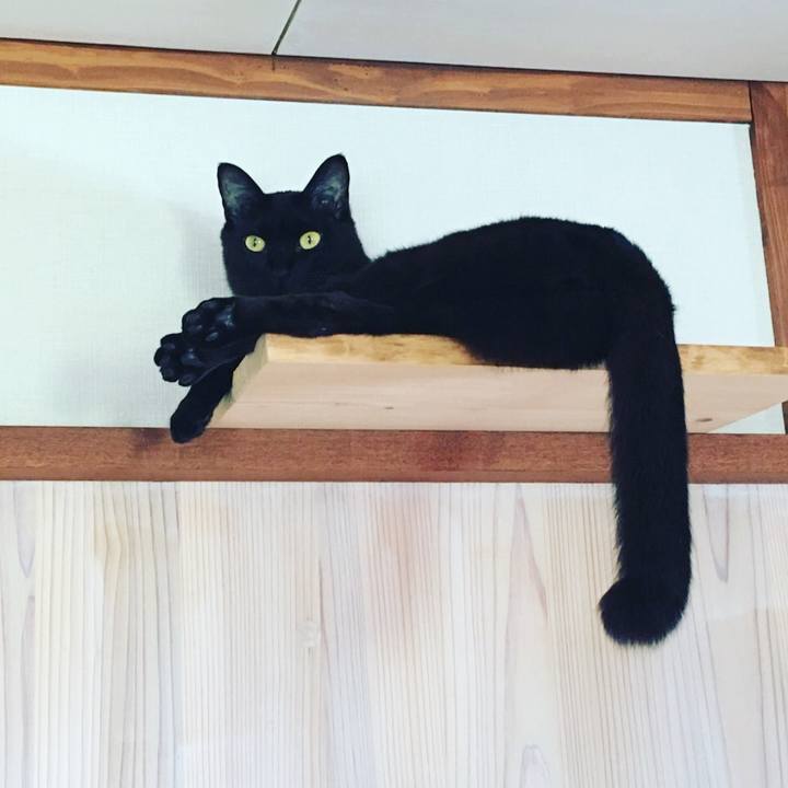 4409c90f dbfa 4532 ba08 cccfb5ce7992 1528332253622