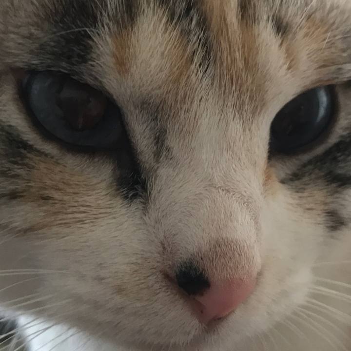 440a4887 89b0 4374 b57b b5ea556848b7 1521812365533