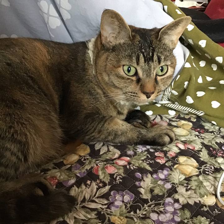 440a53ea df03 491a 9fae dce1a59a5aa8 1648024776016