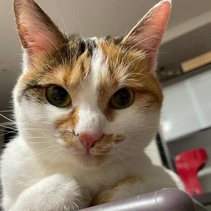 440a63c2 1817 466a b172 295ff75bf949 1609837150775