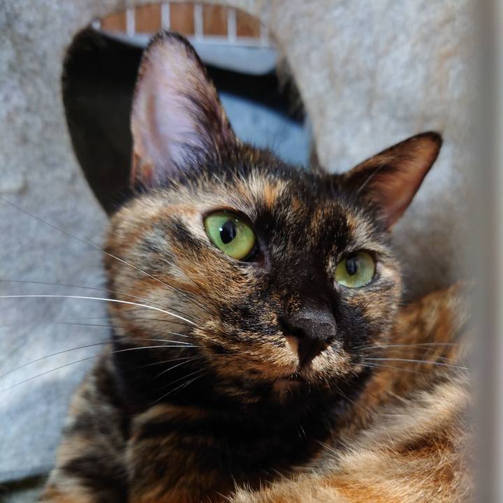 440a82fc 23f7 4a84 b415 b9f5a7fb4c7e 1694059328965