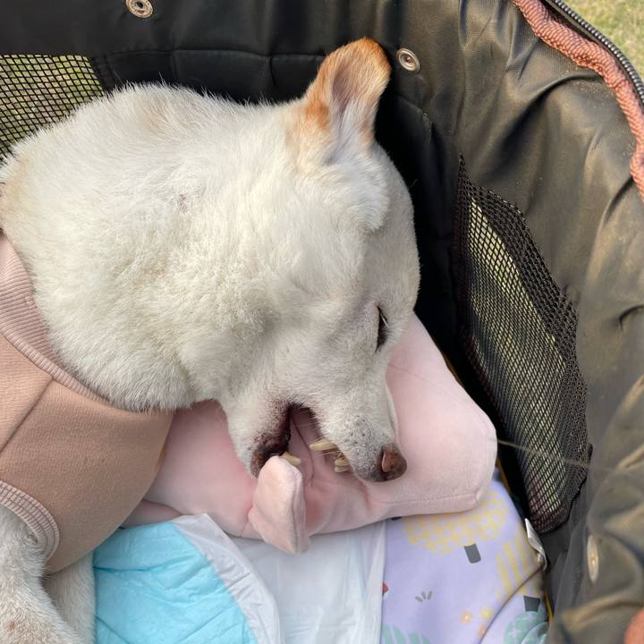 440aa0c3 195a 4e8b 8bc8 134bdce990c6 1669805987964