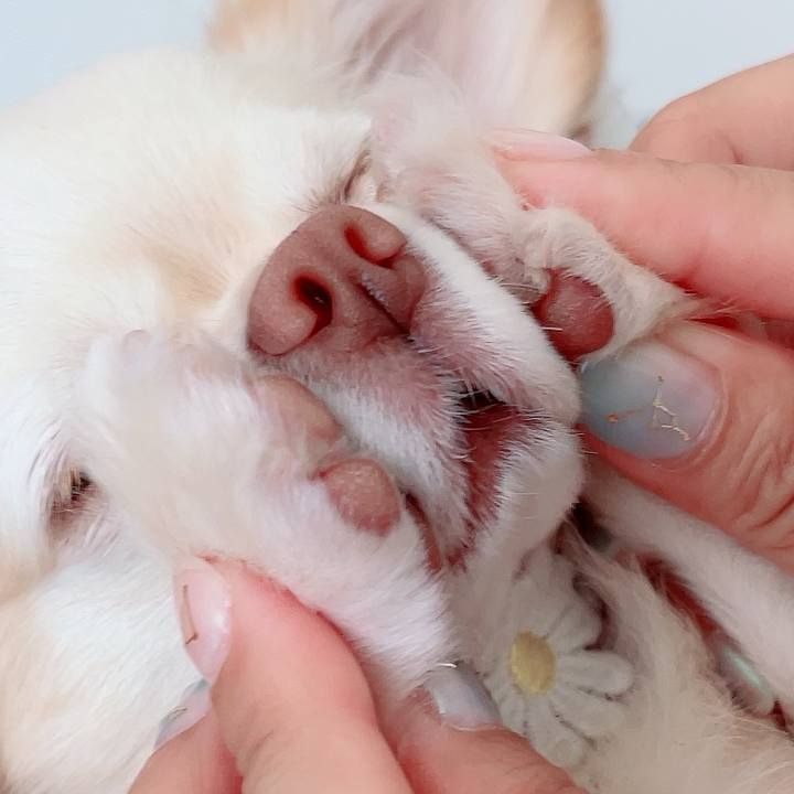 440aaabb 027d 4c35 9a9f ec08c93d3cec 1690634188605