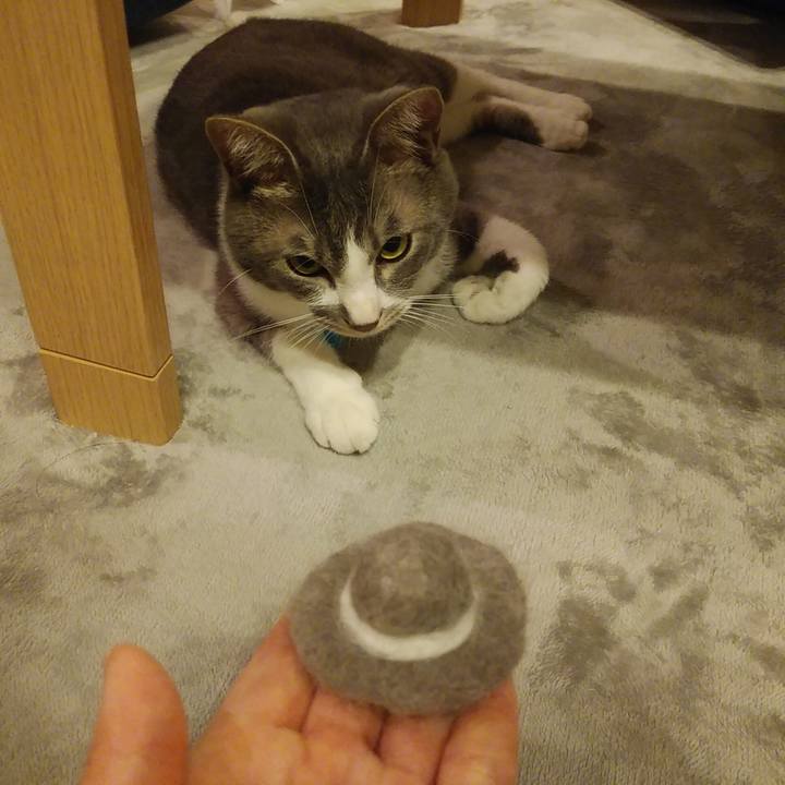 440ab769 b9d7 4174 9f98 21cf06d8aff1 1591110197366