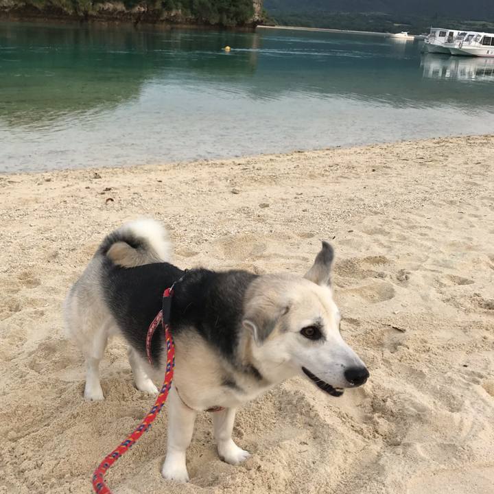 440abdec 05ca 4d31 8b39 caa4a9e0009b 1555941203945