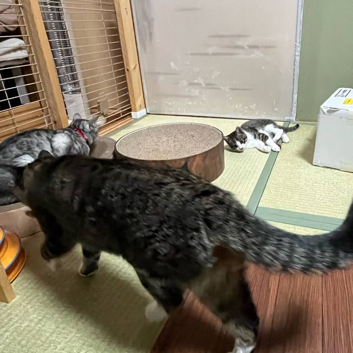 440ae413 dc0d 48cd aff9 89b9317d529e 1767828347338