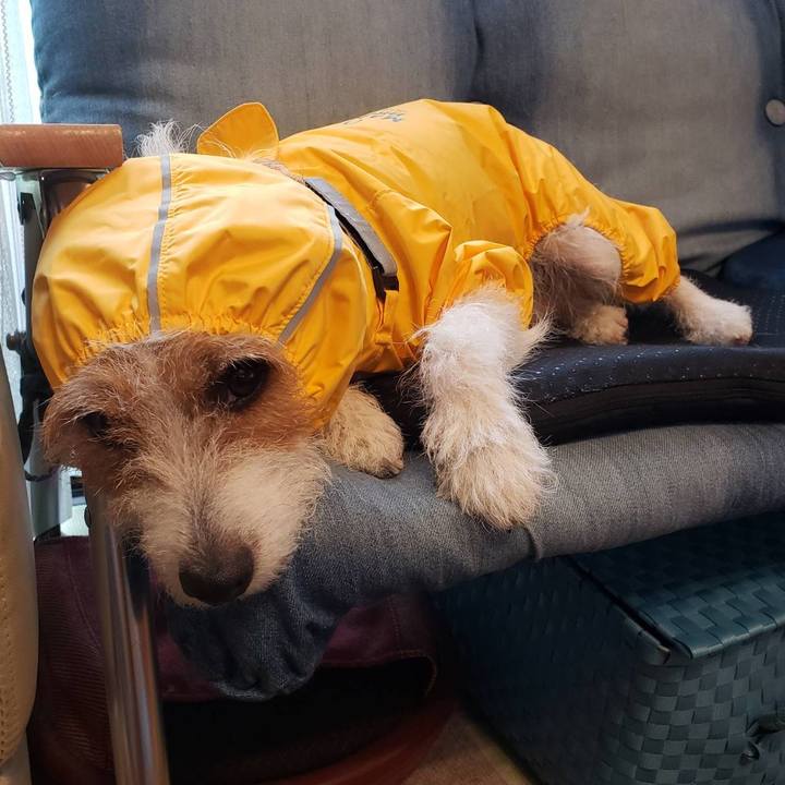 440aea8e 74cc 4892 b528 5e6c312105af 1630721536602