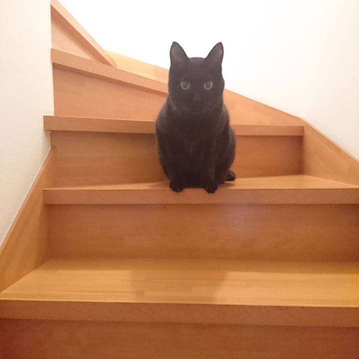 440af0eb 1696 4999 8139 9db6114a89e9 1572839968898