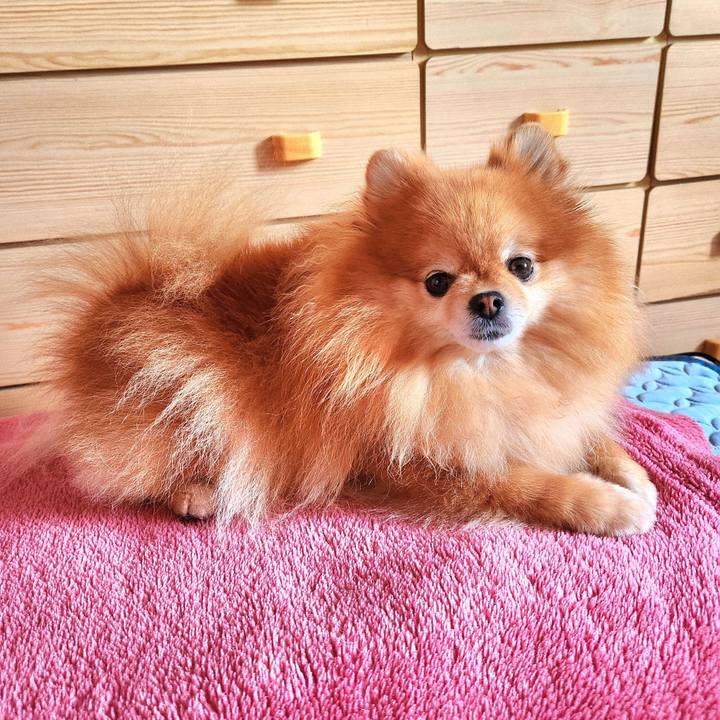 440afeae 35c2 49f2 b74e 8bbc75c96ce1 1693987871670