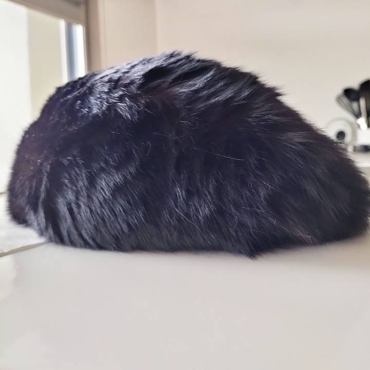 440b370a 6c71 415d a817 8867f6e5b951 1692829002037