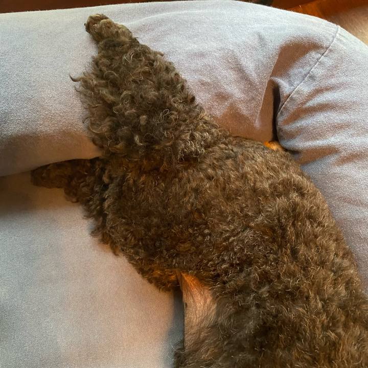 440bbeff 7b34 469a ac63 2c3e66077cfa 1661470614371