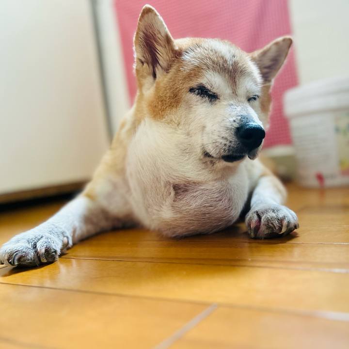 440bd0ce 69f3 4481 8170 5e49f27673d1 1758500819529