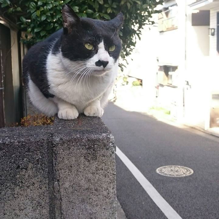 440bf1b4 a366 4f5e b952 5925b5e6cf62 1515300571333