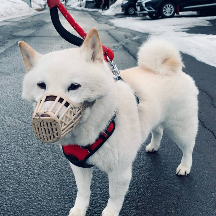 440c1522 5e55 4fea 92c1 d71e40c75749 1678488840393