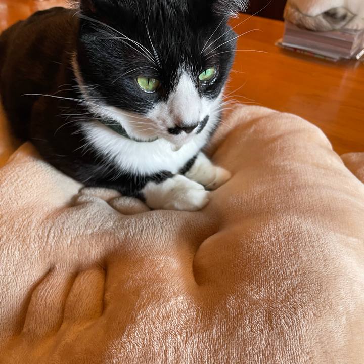 440c30c5 09cd 40d0 b8ae a1442ec76930 1737596552299