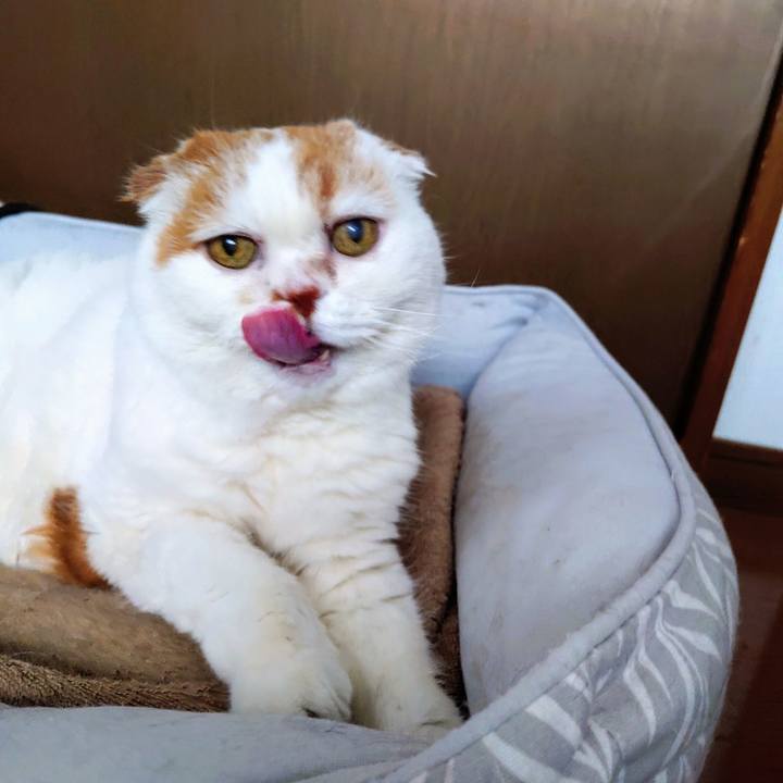 440c430c 3ac2 47bc aaba 5282ffb32670 1773751940221