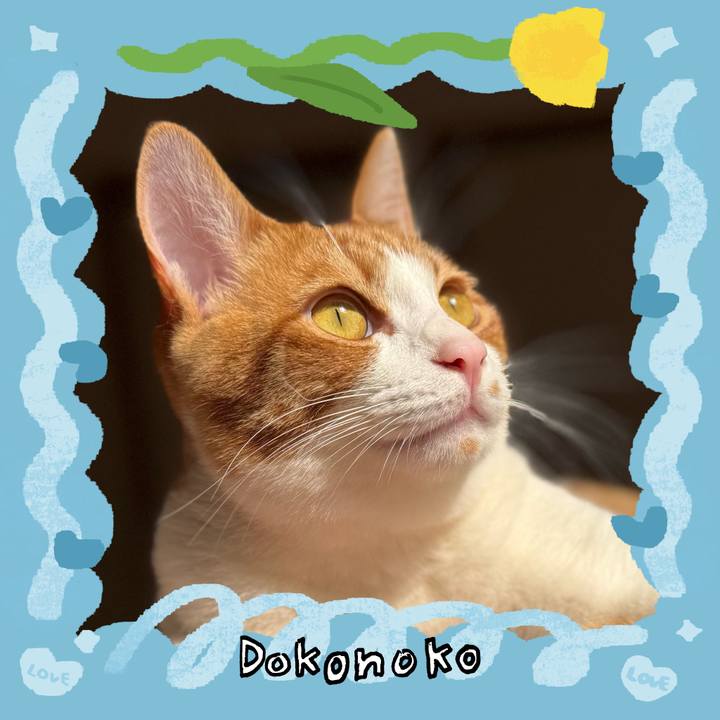 440c4a3a 2702 4342 90eb 98fe0f2f23cd 1771984994207