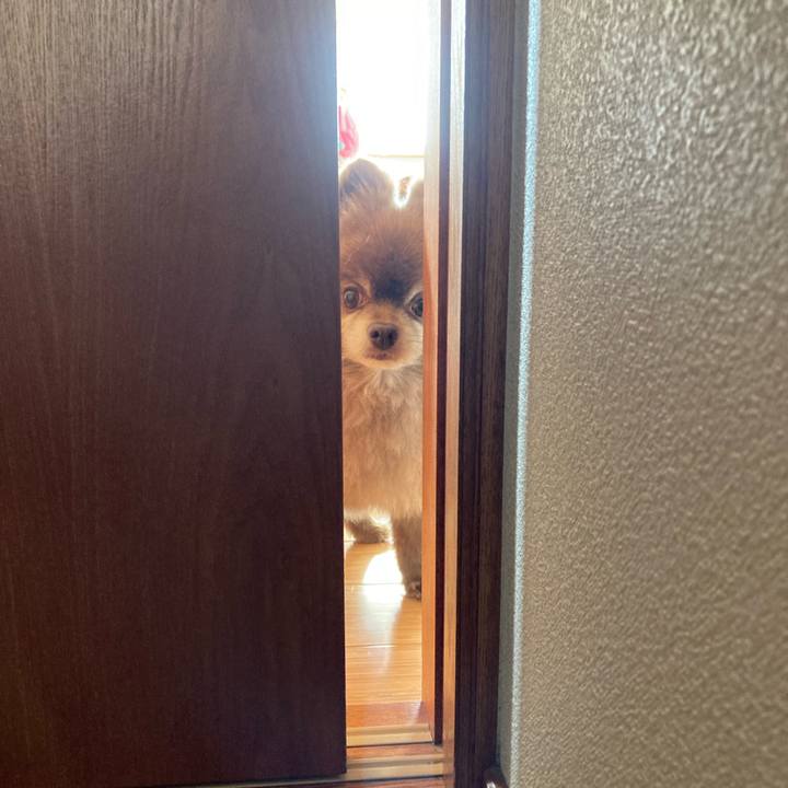 440c50f4 223f 4587 9887 0d70d28613ba 1648003873690