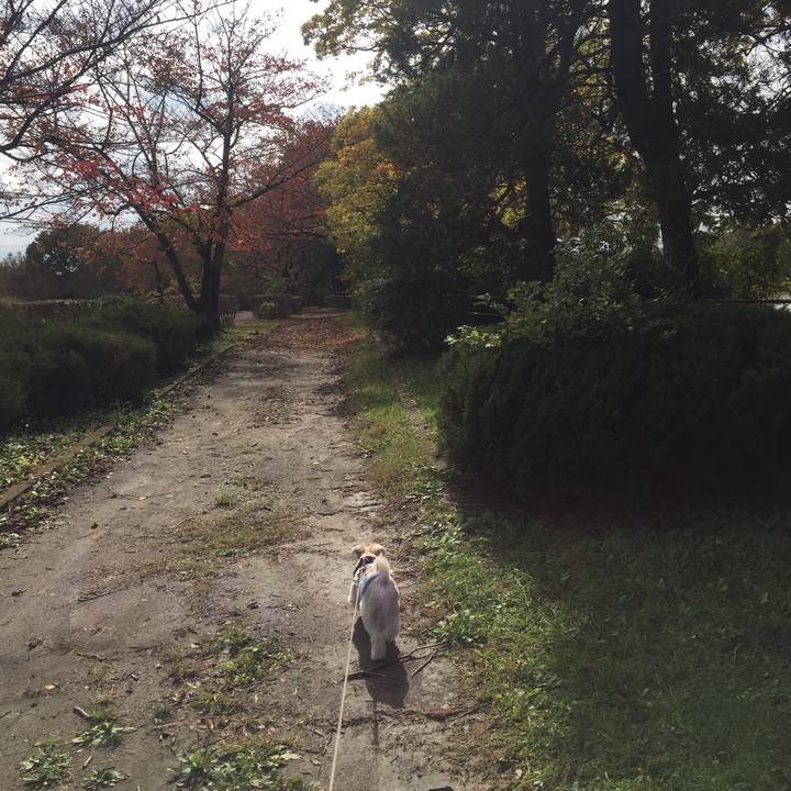 440c5d3d ea49 4c15 ad34 55be6824e612 1541583100257