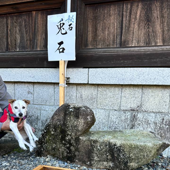 440cbd4a cc89 460d 9fd1 caff3bbaa81b 1673256301546