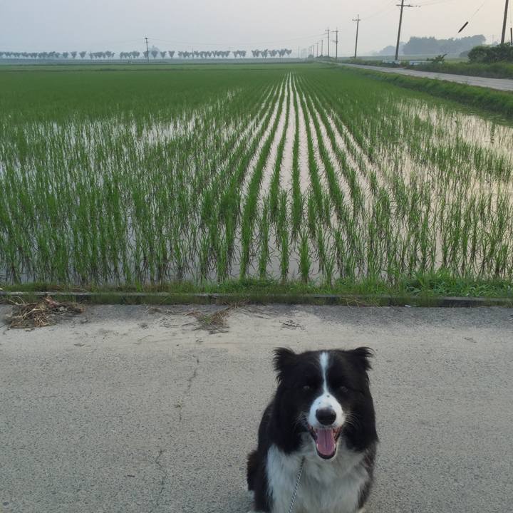 440ce861 f7fa 471a 959b 7e14e58c37be 1531862402165