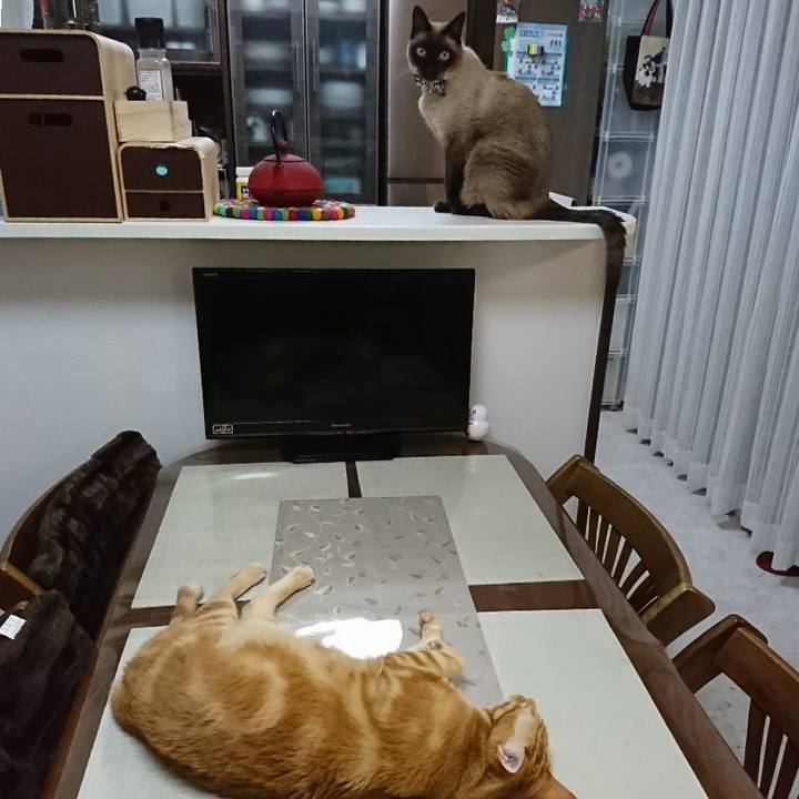 440cebaa 313b 48b0 91c2 1a78c0db344c 1514893951124