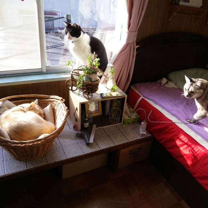 440cff56 e3a1 4dc8 aed3 dbcfb016a7ec 1513383704812