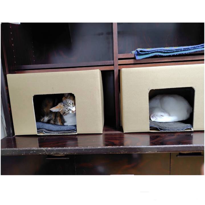 440d1044 b27b 4804 bc33 780ccb94f148 1760243263450