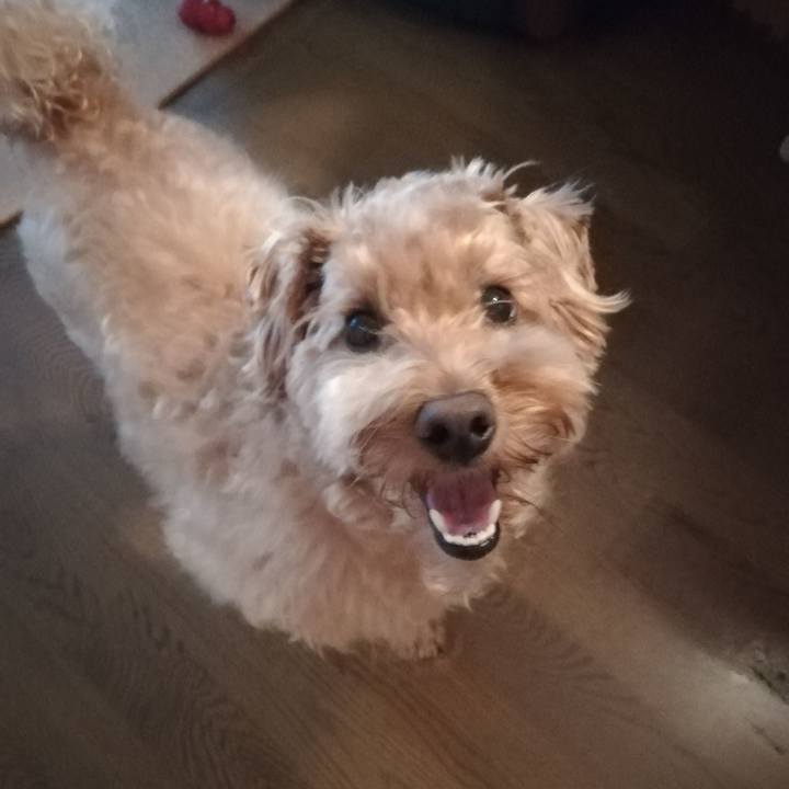 440d4713 318f 4a4b 9335 aaf7e339db01 1530658364997