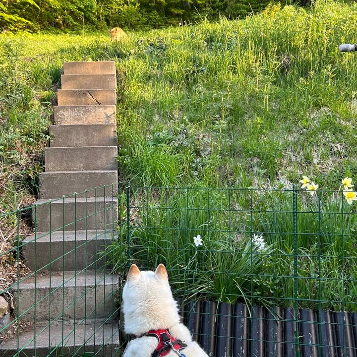 440d86bd c08d 4b53 aa31 e45deffa5c2f 1716097537661